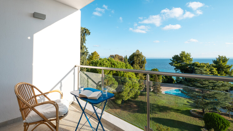 Mitsis Alexander the Great